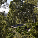 Sunrise Studio / Bark Design Architects - Exterior Photography, Forest